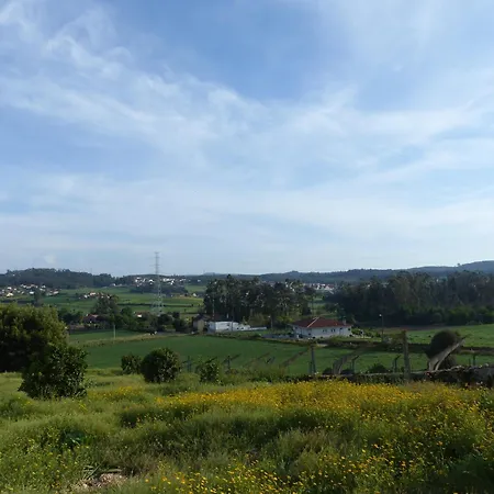 The Beauty Of Simplicity * Gondifelos