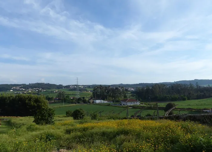 The Beauty Of Simplicity * Gondifelos